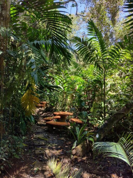 Eco Villas Tambor Tucanes Bagian luar foto