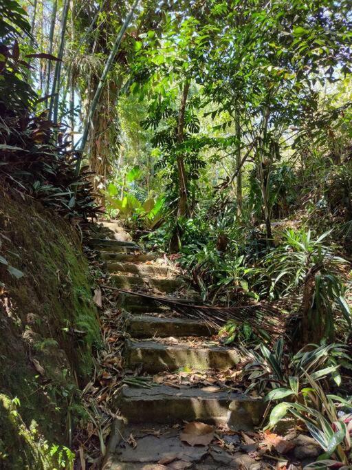 Eco Villas Tambor Tucanes Bagian luar foto