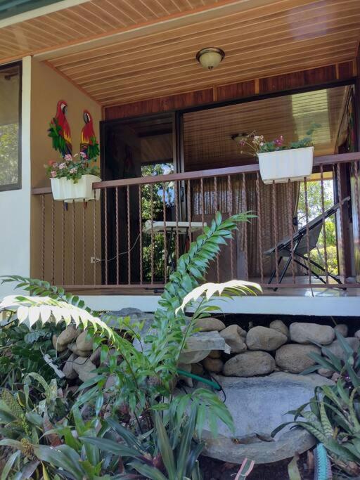 Eco Villas Tambor Tucanes Bagian luar foto