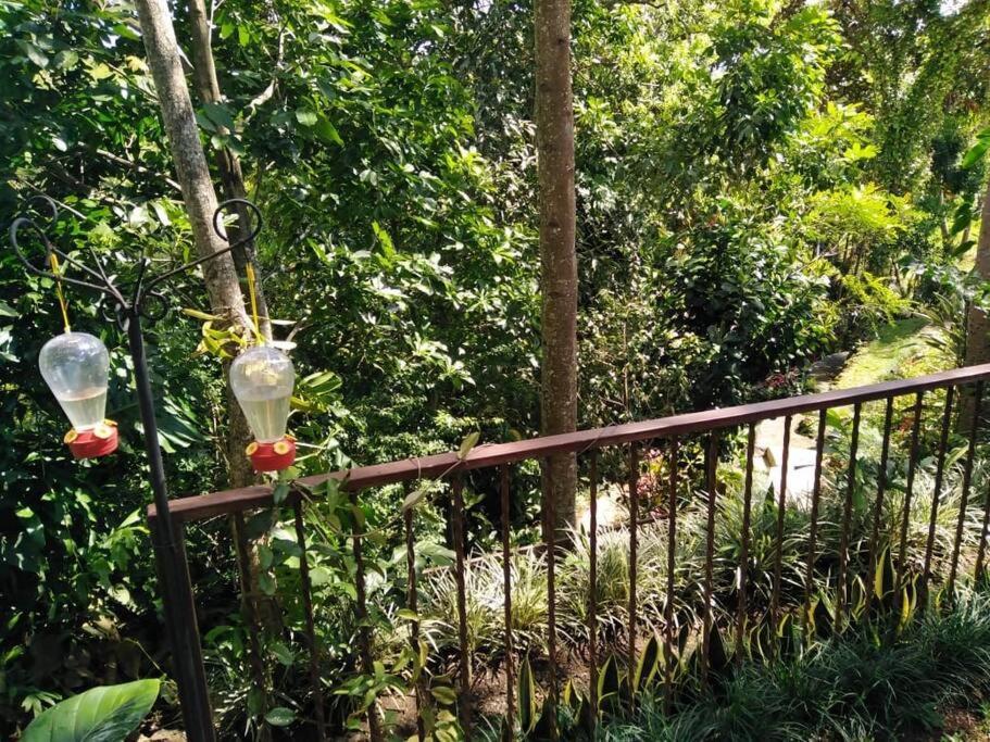 Eco Villas Tambor Tucanes Bagian luar foto