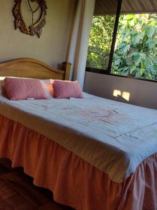 Eco Villas Tambor Tucanes Bagian luar foto