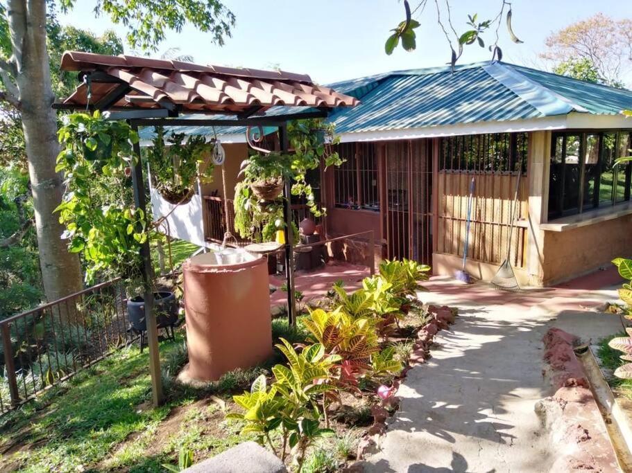 Eco Villas Tambor Tucanes Bagian luar foto