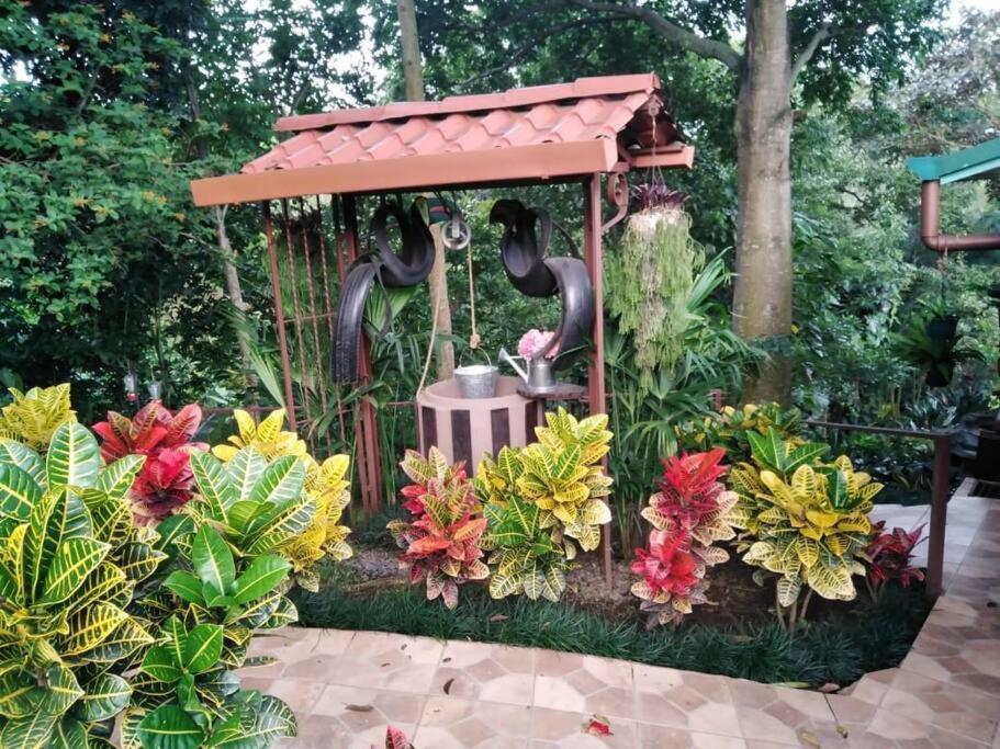 Eco Villas Tambor Tucanes Bagian luar foto
