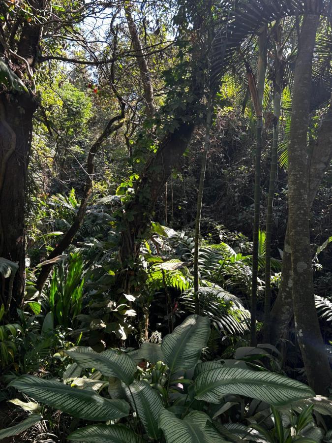 Eco Villas Tambor Tucanes Bagian luar foto