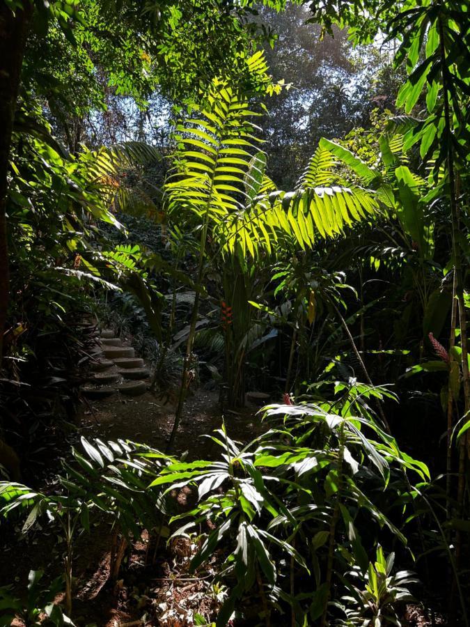 Eco Villas Tambor Tucanes Bagian luar foto