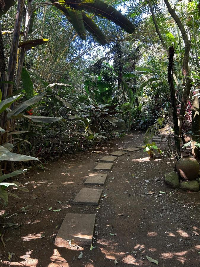 Eco Villas Tambor Tucanes Bagian luar foto
