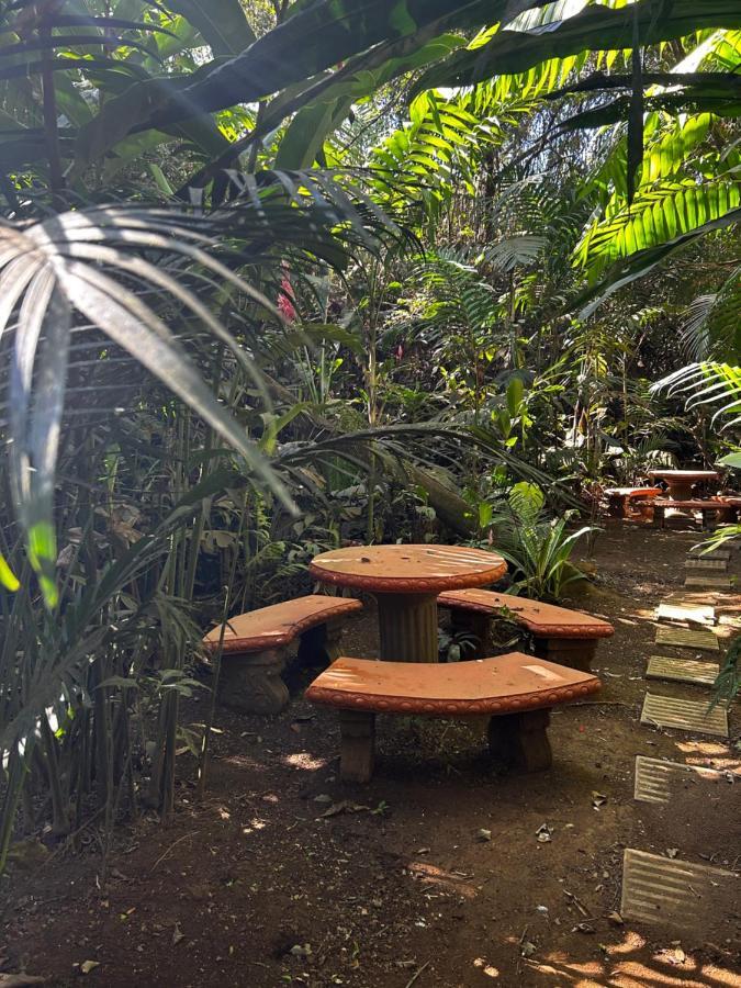 Eco Villas Tambor Tucanes Bagian luar foto