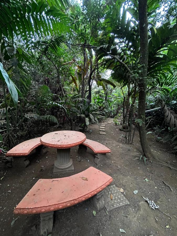 Eco Villas Tambor Tucanes Bagian luar foto