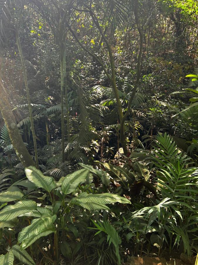 Eco Villas Tambor Tucanes Bagian luar foto