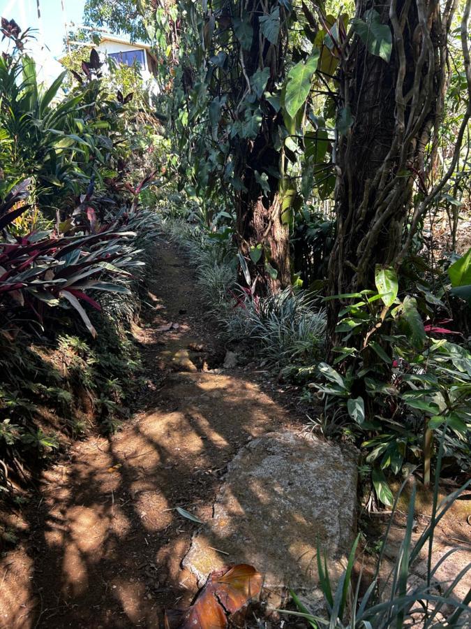 Eco Villas Tambor Tucanes Bagian luar foto