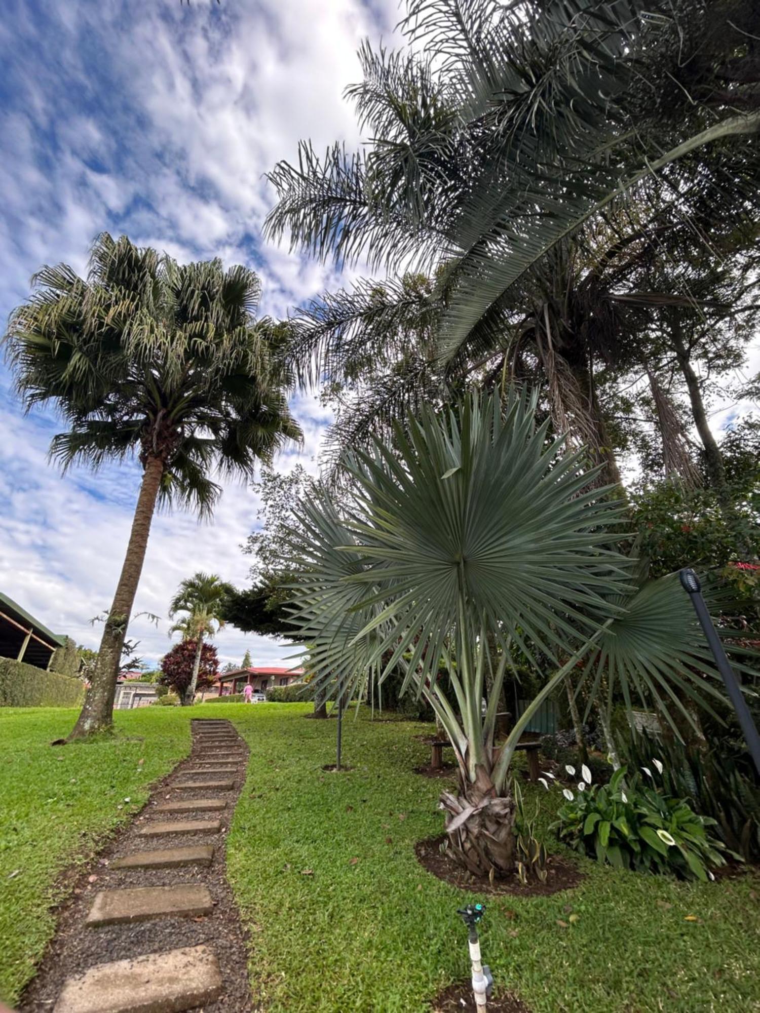 Eco Villas Tambor Tucanes Bagian luar foto