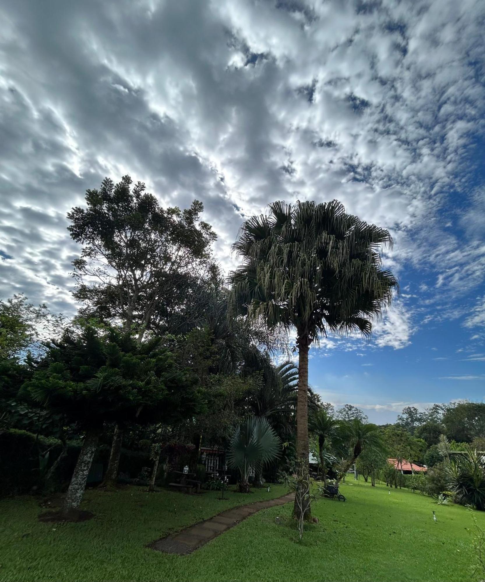 Eco Villas Tambor Tucanes Bagian luar foto